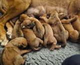 420838230 401483925704557 n