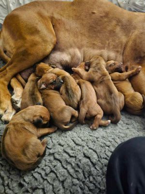 420838230 401483925704557 n