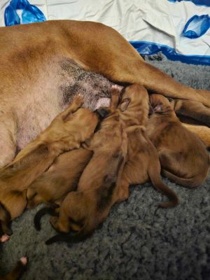 420853604 925479172263363 n