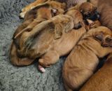 420861443 1414248939165992 n