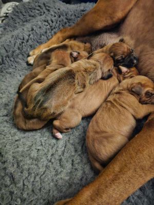 420861443 1414248939165992 n