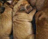 420886333 891169752797652 n