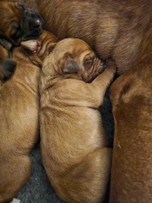 420886333 891169752797652 n