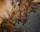 420995981 924209482324834 n