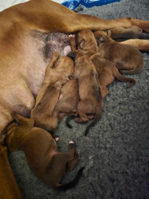 420995981 924209482324834 n