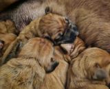 421037660 3492025561049958 n