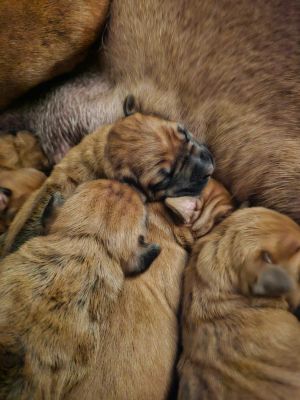 421037660 3492025561049958 n