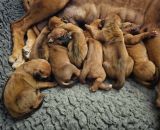 421150513 1462428751154711 n