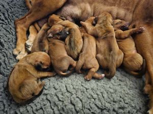 421150513 1462428751154711 n