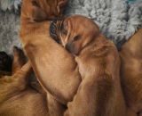 420509717 372901198804294 n