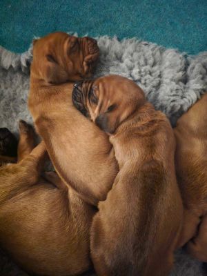 420509717 372901198804294 n