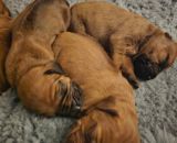 420588919 1542933459790509 n