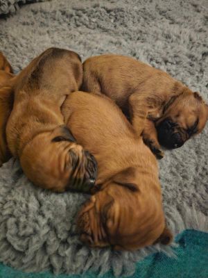 420588919 1542933459790509 n