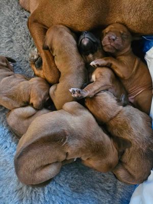 420742005 2444766345730008 n