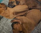 420805784 756496722682170 n