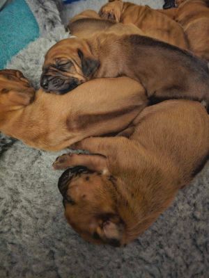 420805784 756496722682170 n