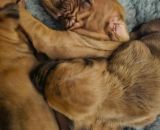 420828506 292472503522557 n