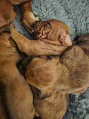 420828506 292472503522557 n