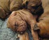 420829694 785885623564943 n