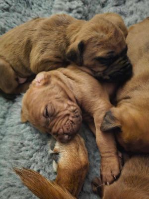 420829694 785885623564943 n