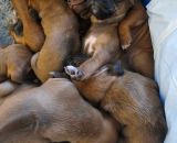 420845449 228853890300042 n