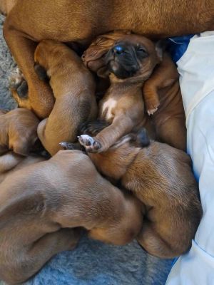 420845449 228853890300042 n