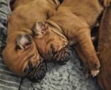 420924773 686062840274696 n