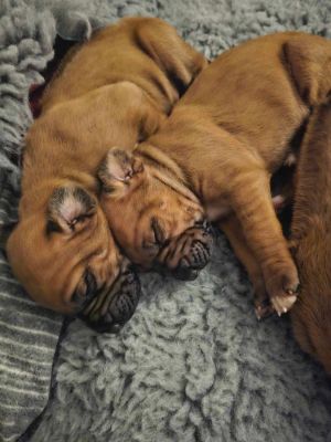 420924773 686062840274696 n