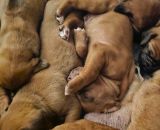 421004012 869713154897980 n