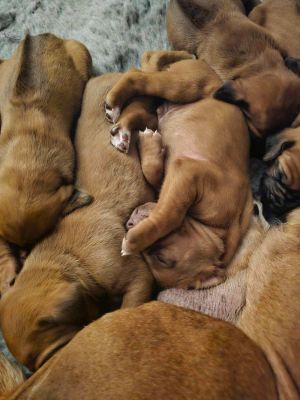 421004012 869713154897980 n