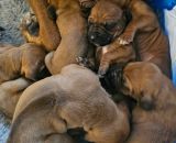 421145578 738073114955137 n