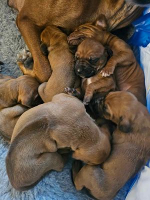 421145578 738073114955137 n