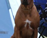 457315950 10227707633177632 n