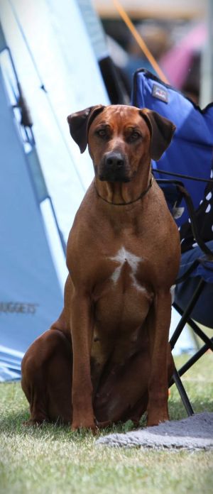 457315950 10227707633177632 n